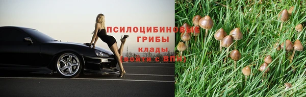 прущая мука Бугульма